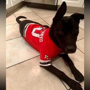 Blackhawks Jersey | XL